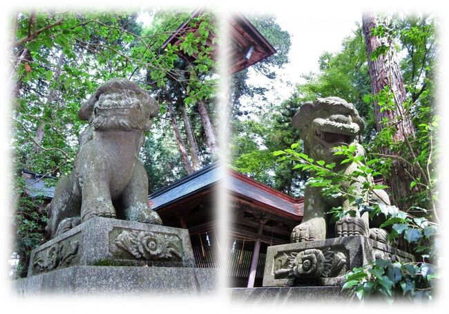 信濃國二之宮 矢彦神社』伊那(長野県)の旅行記・ブログ by