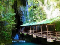 林を抜けると、突然目の前に現れた、岩の割れ目。
広大な地下空間の入口は、予想以上に狭く冒険心がくすぐられる。