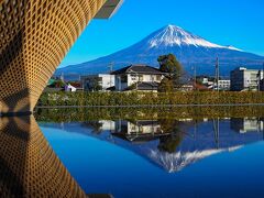 逆さ富士と、逆さ富士檜。