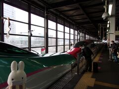途中の仙台の停車して、盛岡で降りました。

盛岡駅で見られる風景。
皆さん集まっています(´艸｀*)。