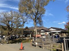 お店が見え始めてやっと到着です。