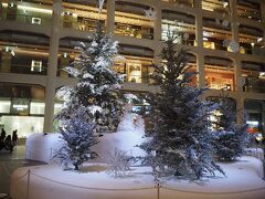 東京駅で降りて、まずやってきたのはKITTEビル。アトリュームには、東京都檜原村の間伐材と群馬県嬬恋村のもみの木を使用した高さの異なる9つのクリスマスツリーが飾られていました。

