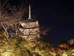 徒歩で、東寺へ。ライトアップの特別拝観期間中です。混雑しており20分待ち。ライトアップも素敵ですが私は仏像が見たいのです。