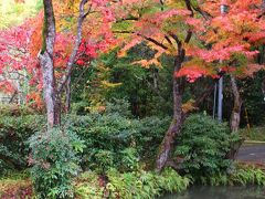 等禰神社
紅葉だよりは見ごろでしたが、少し早いようでした。