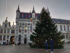 市庁舎前の広場
大きなクリスマスツリーとマッチしてる