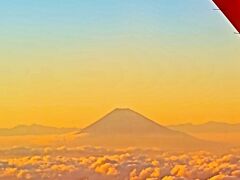 富士山空撮　JAL124便　　　40/　　　35
