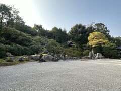方丈に上がり、縁側から見られる、国の特別名勝の鶴亀の庭
庭石が、鶴と亀に見立てられています（説明を受けると、そう見えます）