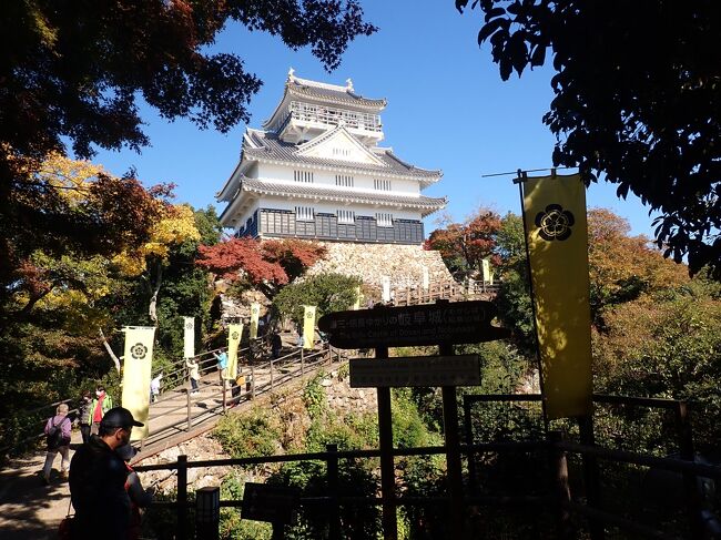 秋旅11月岐阜県 愛知県へ 3日目午前はざわつく岐阜市へ 岐阜市 岐阜県 の旅行記 ブログ By びびママさん フォートラベル 秋旅11月岐阜県 愛知県へ 3日目午前はざわつく岐阜市へ 岐阜市 岐阜県 の旅行記 ブログ By びびママさん フォートラベル