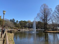 天気もいいので大宮公園を散策することにしました。