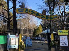 動物園も無料で入れます。
行ってみましょう。