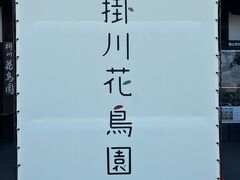 Day2　おはようございます。
雲一つないいいお天気☆

今回の主目的【掛川花鳥園】にやってきましたよ。
この日は浜松⇔掛川なので18きっぷでなく普通にPasmoで。

入場券は花鳥園の目の前にあるセブンで100円引きになりますので予め買っておきましょう。
旅行ばっかしてると贅沢ざんまいなイメージを持たれてしまいますが、こういう小さなおトクの積み重ねでなんとか回してるわけです。