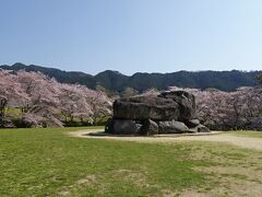そして、ここも歴史で必ず習う石舞台古墳へ
この時期は桜に囲まれていた