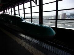 １０分ちょっと後の新幹線に乗車します。
盛岡9:25発はやぶさ203号新青森行きに乗車します。
これ、臨時だったみたい。