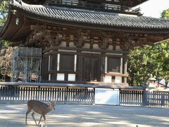 五重塔。
まだ見れます。