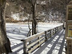 神社の右手。この橋の左奥に源泉が噴出しているということだったが湯気だけ見て、源泉の傍までは行かなかった。