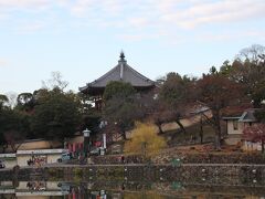 猿沢池を通って南円堂の方から向かいます。