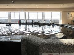 渚の駅たてやまの一階に大きな水槽があり、房総の海の魚が泳いでいました。
房総のお魚のことを説明する掲示物があってよくわかるようになっていました。