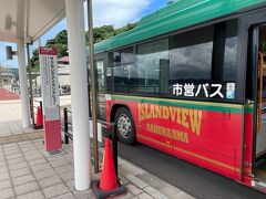 桜島観光も車があった方が良いんでしょうが、ペーパードライバーは大人しく周遊パスを使ってバスで回ります。
これだと桜島の一部分しか回れないけど、時間も半日しかないから今回はこれで充分。