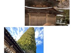 安楽寺です。お庭が素敵でした。常楽寺から比べると規模が大きそつです。何百年前から変わらないであろう風景を見られて良かったです。こちらで八角三重塔をこちらで拝見しました。