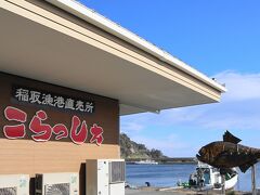 隣接している稲取漁港直売所「こらっしぇ」は、伊豆漁協と 伊豆農協がコラボした直売所。