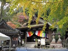 正法寺(岩間寺)

第12番札所です。
開山1300年を記念して本尊の秘仏「千手観世音菩薩」の特別公開が行われていました。


第12番札所：https://saikoku33.gr.jp/place/12
千手観世音菩薩：https://ja.wikipedia.org/wiki/%E5%8D%83%E6%89%8B%E8%A6%B3%E9%9F%B3
特別公開：https://www.chunichi.co.jp/article/563656