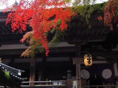 石山寺本堂

こちらも国宝に指定されている滋賀県最古の木造建築物の本堂です。


本堂：https://www.ishiyamadera.or.jp/guide/precincts#:~:text=%E6%BB%8B%E8%B3%80%E7%9C%8C%E6%9C%80%E5%8F%A4
国宝：https://kunishitei.bunka.go.jp/heritage/detail/102/1315
