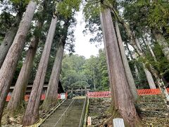 少し歩くと右に鳳来山東照宮
参道の両側は立派な杉の木立。