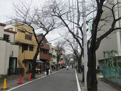 この像から葛飾区役所前を通る道を立石さくら通りと言います。住宅街に衣料品店やコンビニやクリニックなどがぽつぽつとある通りです。小学校や高校が通り沿いにあり、桜が植えられています。桜が咲いたらきれいでしょう。Uターンして京成立石駅に戻り電車に乗りました。北星鉛筆会長さんのアイデアとエネルギーで元気をもらった半日散策でした。

