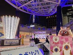 “氷を使わない”スケートリンクは、名古屋の冬の風物詩。