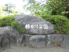 そして今回三島に来た目的である柿田川公園にやってきました。