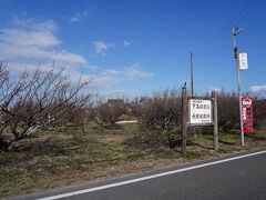 松のあった場所から駅の方へと下ると、道の脇に『長田屋敷跡』と書かれた看板が立っていた。この辺りに、長田氏の屋敷があったのだろう。説明板などは無かったので、詳しくは分からない。