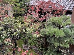 超久々の、社会人になってたぶん初のプライベート京都旅・2日目の朝は、素敵なお宿「室町ゆとね」の素敵な部屋で、まったり目覚め。部屋の窓を開けると、旅館の中庭が見えて、紅葉も少し見えます。風流な朝。