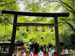 せっかく近くまで来たので野宮神社にお参りして行きましょう。
この黒木鳥居はクヌギの木の皮を剥かないまま使用する、日本最古の鳥居の様式だそう。

あら、浴衣を着たお姉さんたちがいっぱい。
縁結びで有名な神社なので、女性に人気があります。

★野宮神社
http://www.nonomiya.com/