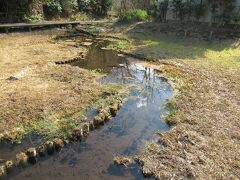 ほたるの里へ
天文台三鷹の西に流れる野川に架かる相曽浦橋と飛橋の間にあります。大沢の里古民家の隣にある田んぼや湿生花園一帯です。ほたるの生息地として環境を守っています。訪れた１月は田の中を湧水が流れているのがよく分かりました。子どもたちによる田植えが行われたり、こいのぼりが上げられたり、草花を見たり、自然に触れ合うことができます。木道が設置されていて、自然保護に努めていることがわかりました。