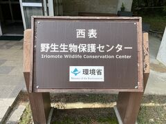 西表野生生物保護センター
剥製やパネル展示など。私たちは割合、こういう展示物が好きなのでじっくり眺めます。