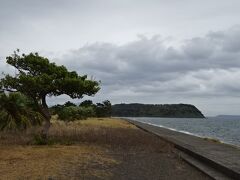 《10:03》知林ヶ島／干潮なら島に歩いて行けるそうです。
機会があれば行きたいものです。
