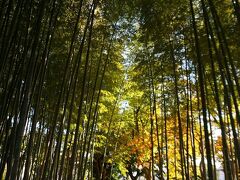 竹の子公園
