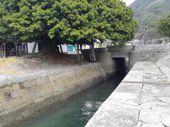 ここは排水路。山の水を流し、満潮時には海の水を引き込む。アコウの木も当時からあるのかな。