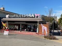 天王寺動物園です。今日は入りません。