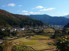 高野山から１時間程走るとあらぎ島に到着しました。
石川県の千枚田を１１月に訪れたときは、稲の刈り取りが済んでいて
少し景観が期待していたものではなかったので
