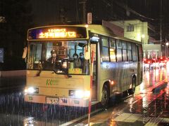 すぐ100円バスで弘前城界隈へ。
17:01発の終バスに乗車出来ました。
地元の方々の足と言った感じでした。