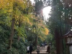 白山比咩神社 (白山ひめ神社)