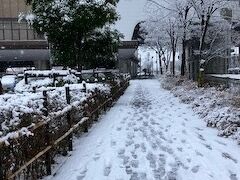 再び雪の中を燕三条駅に戻ります。基本的に歩いている人はいません（苦笑）