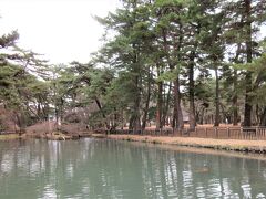 敷島公園（群馬県前橋市）

広大な松林に池や、先ほどのばら園もあります。
ばら園に隣接する「登竜池」にカモが見えました!