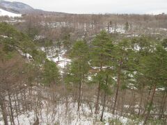 下を見下ろすと、西の河原公園が広がっています。