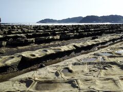 【鬼の洗濯板】
かたい砂岩とやわらかい泥岩が繰り返し積み重なった地層が隆起し、長い年月をかけてやわらかい部分が削られ、かたい部分が残ってできた景勝地。海岸線8キロに渡ってみることができます。
名前の由来は、鬼が洗濯に使いそうなほど大きい(広い)という所からきているんだそう。
・・・めちゃくちゃデカい鬼やん。
というか、鬼もちゃんと洗濯するんだな・・・そりゃするか