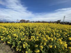 途中で偶然見つけた菜の花畑

第一なぎさ公園

無料で開放されています