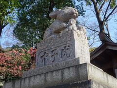 調神社には七不思議があるので、ご紹介します。

１　鳥居がない
２　松がない
３　御手洗池に魚を放つとその魚は片目になる ← こわい（現在は消滅）
４　うさぎが神使
５　日蓮聖人駒つなぎのケヤキ
６　蠅がいない
７　蚊がいない
