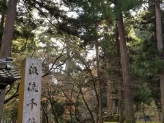 わぁ～
いい感じ
道元禅師様が1244年に
座禅修業の場として開かれた道場だそうです

少し春日野大社の参道を思わせます
