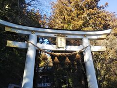 そうです。
このすぐ傍には「宝登山神社」がありました。
自由時間を多めに取ってもらえたので、自由に散策お参りが出来ました。(*´▽｀*)